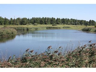 Property photo 33 - 419 +/- Acres offered in 6 Tracts, Land Auction